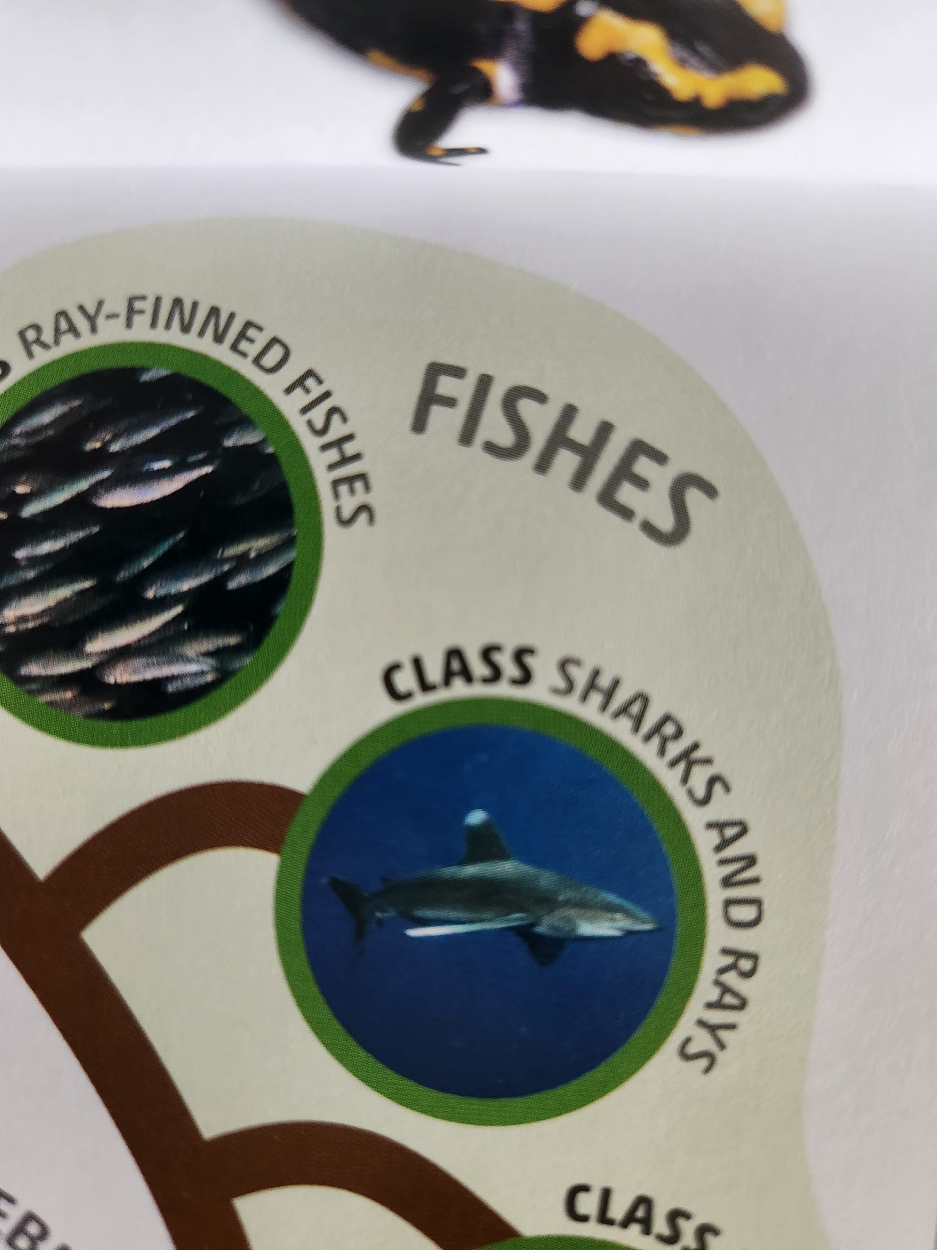 Pasted image 20251222144323.jpg